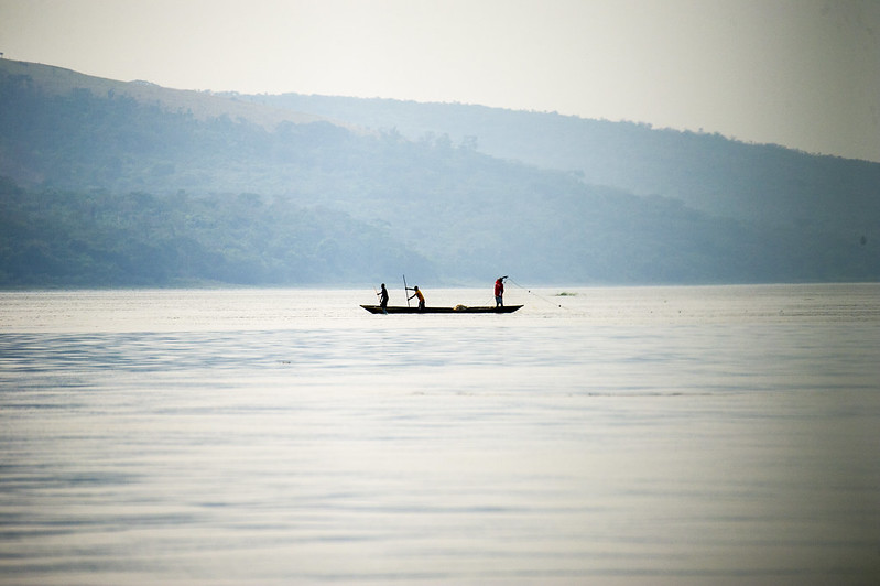 La Tierra se acerca a un punto inflexión, pero los bosques y los árboles pueden ayudarnos