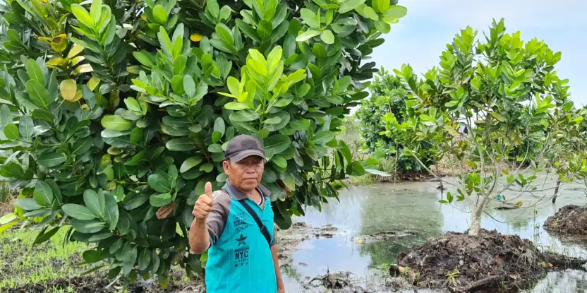 Bioenergi Membantu Memulihkan Lanskap dan Mata Pencaharian