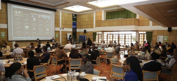 Some of the participants in Nairobi. Photo: ICRAF