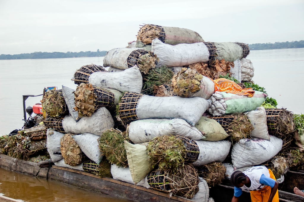 Charcoal shipment leaving for Kisangani, DR Congo. Photo by Fiston Wasanga/CIFOR
