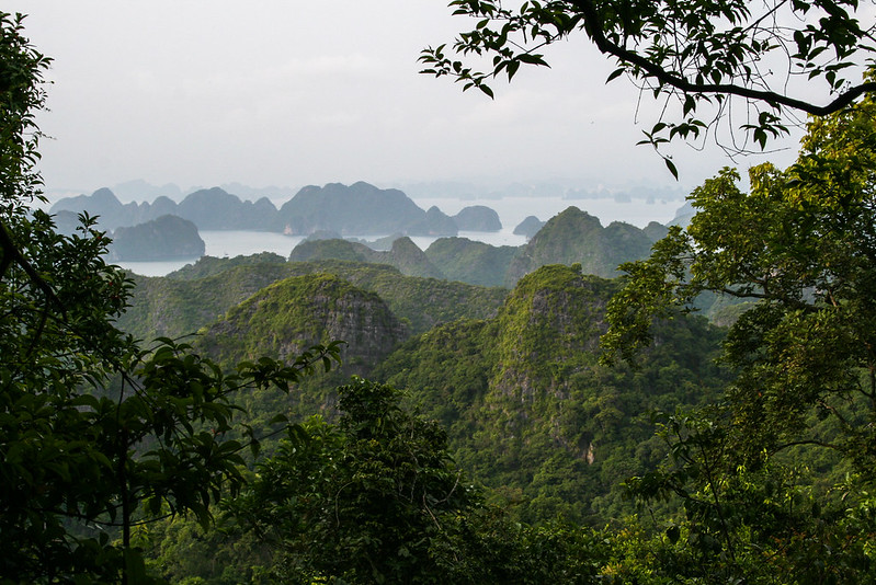 Payment for Forest Ecosystem Services: achieving its goals or not?