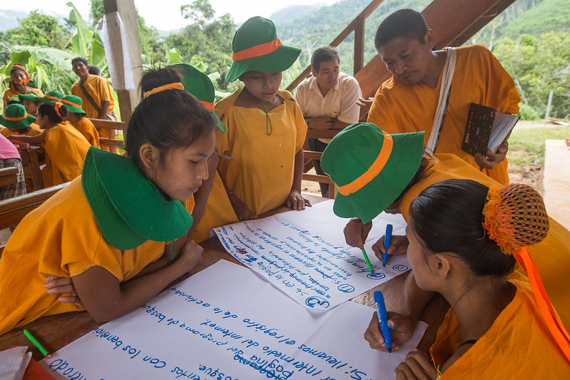 Perú: Un análisis del estado de los derechos de los Pueblos Indígenas en el contexto de REDD+