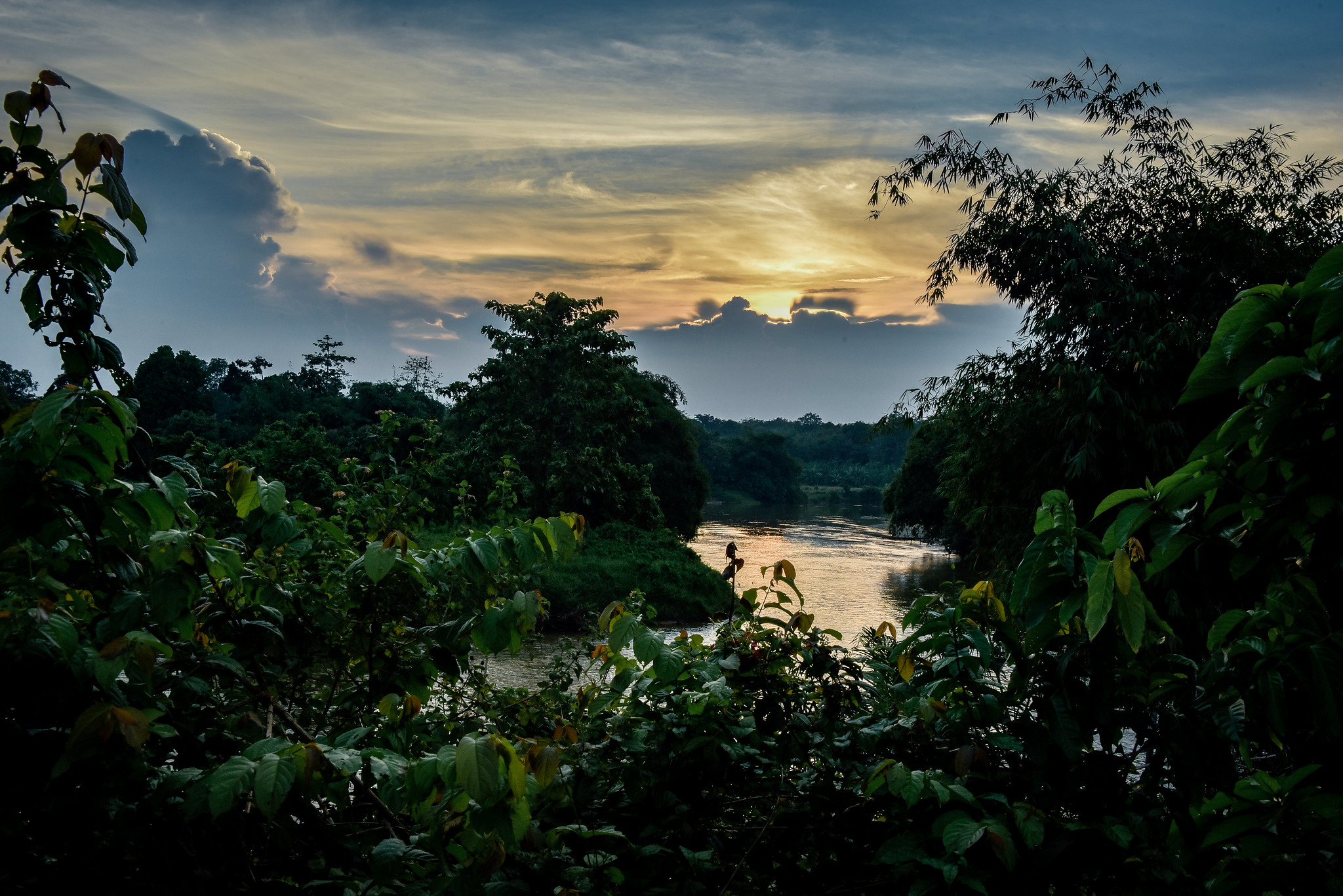 Pagos por servicios ambientales colectivos: ¿una herramienta prometedora para reducir la deforestación?