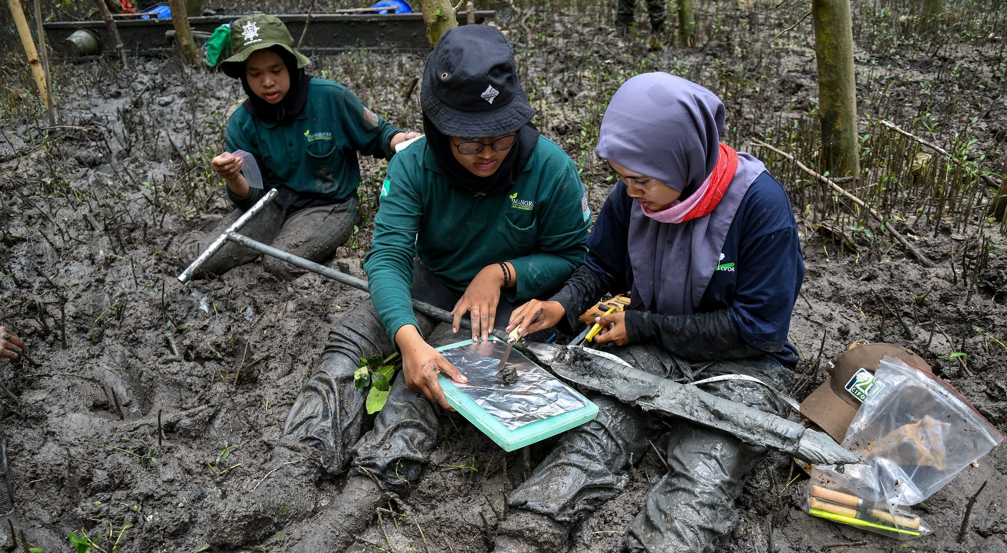 Sains untuk Tingkat Emisi Rujukan Hutan