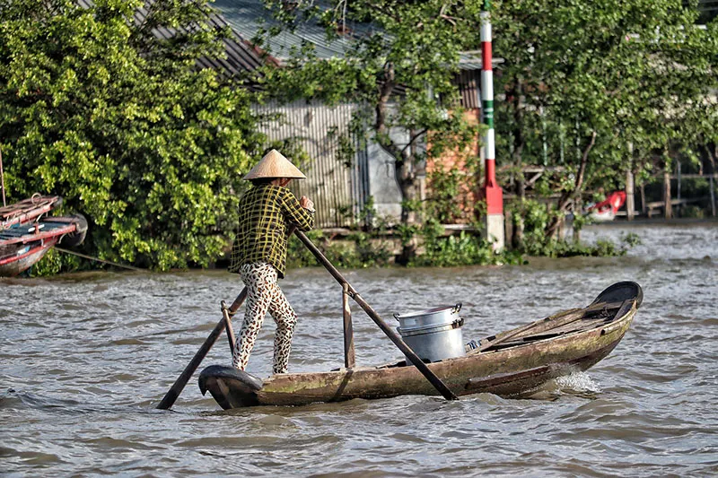Mangrove di Delta Mekong: Peluang Tumbuh atau Tenggelam?