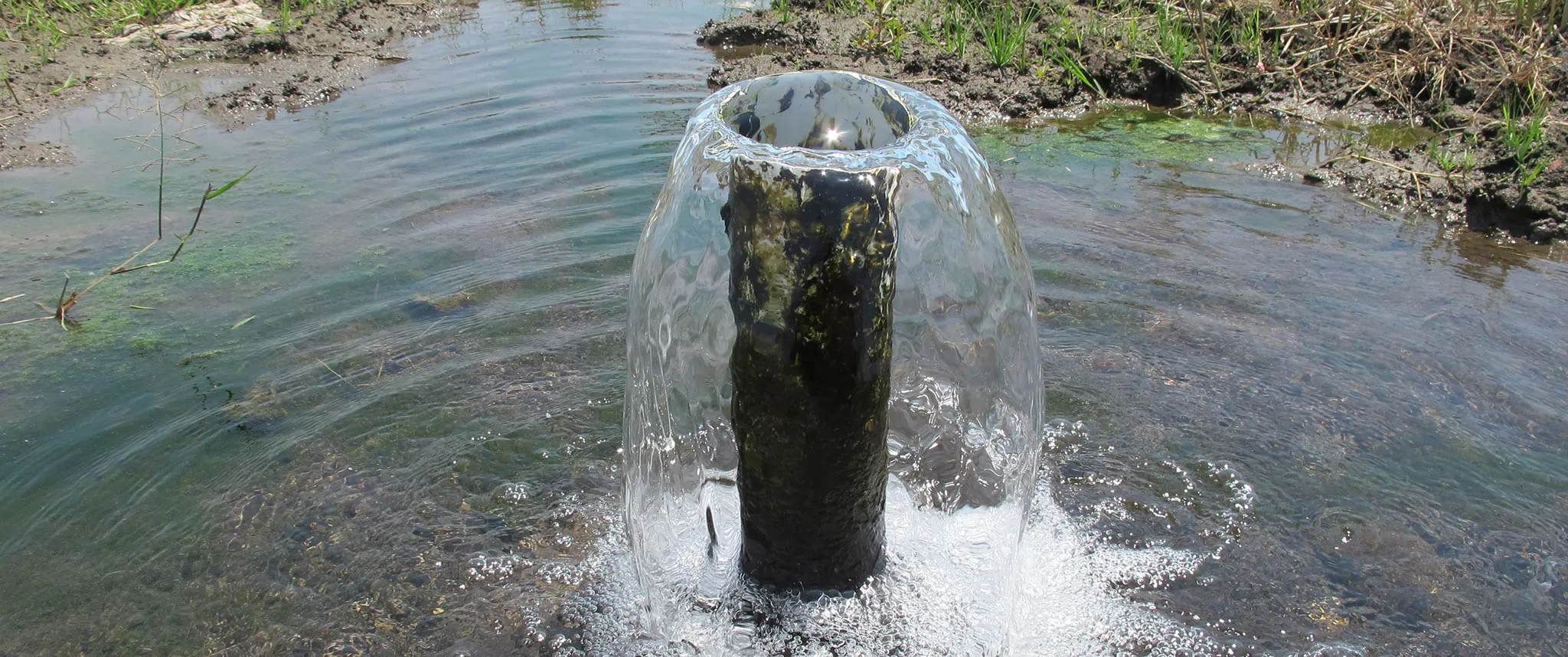 Mengonservasi Daerah Aliran Sungai Rejoso