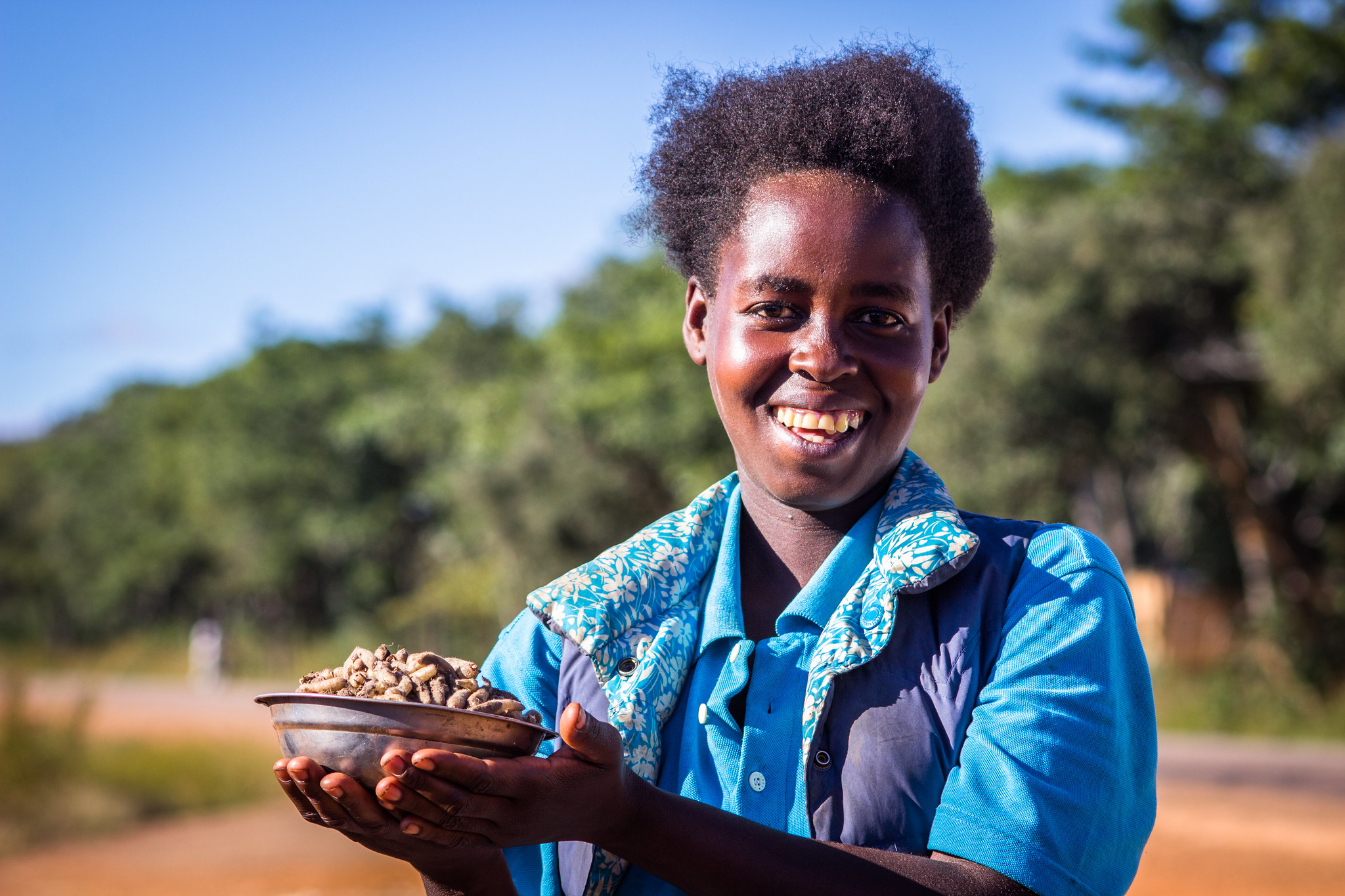 Contar con los árboles y los bosques para la transformación de nuestros sistemas alimentarios fallidos