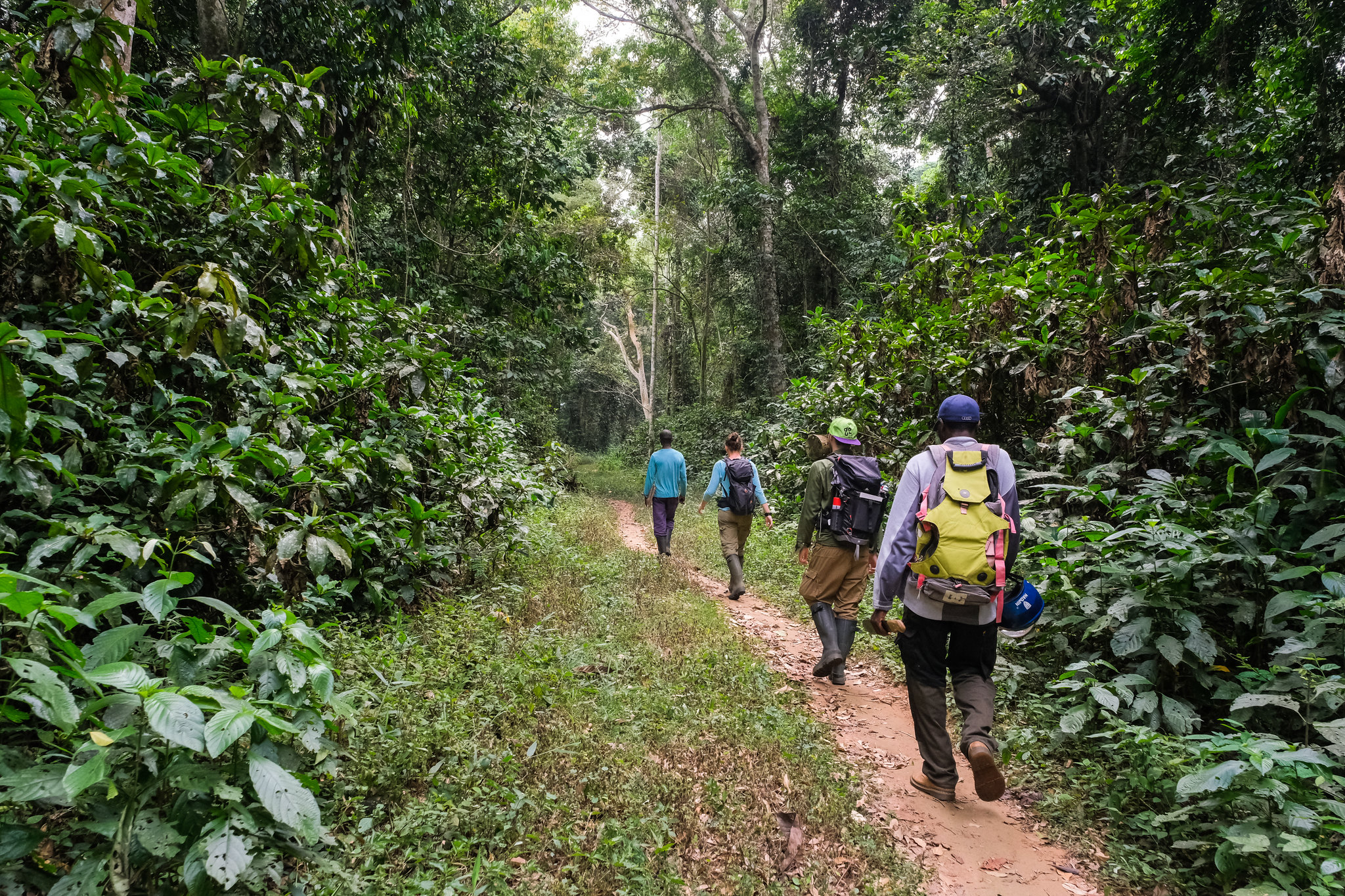Mengenal Green Jobs, Peluang Karir Masa Depan untuk Kelestarian Lingkungan