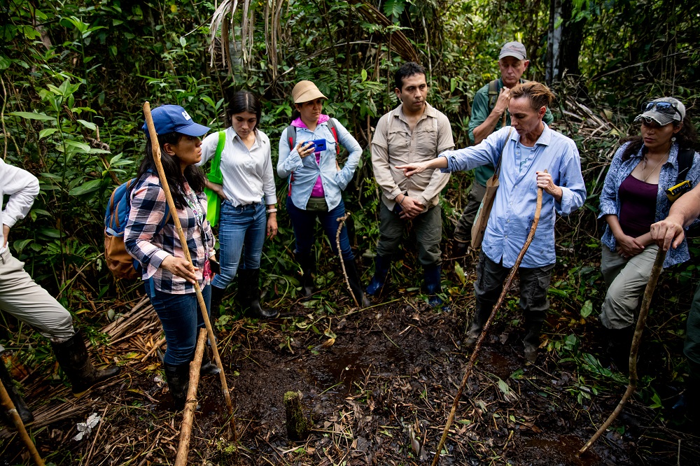 New tools and knowledge for monitoring peatlands in Peru