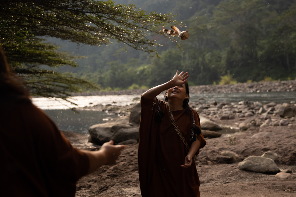Salvaguardas para REDD+: Pasar de «No hacer daño» a «Hacerlo mejor»