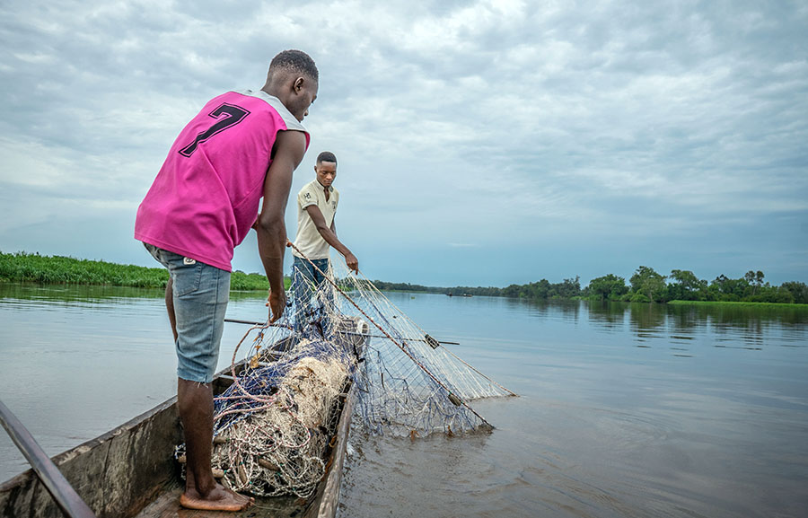 When forests feed the fish that feed our families