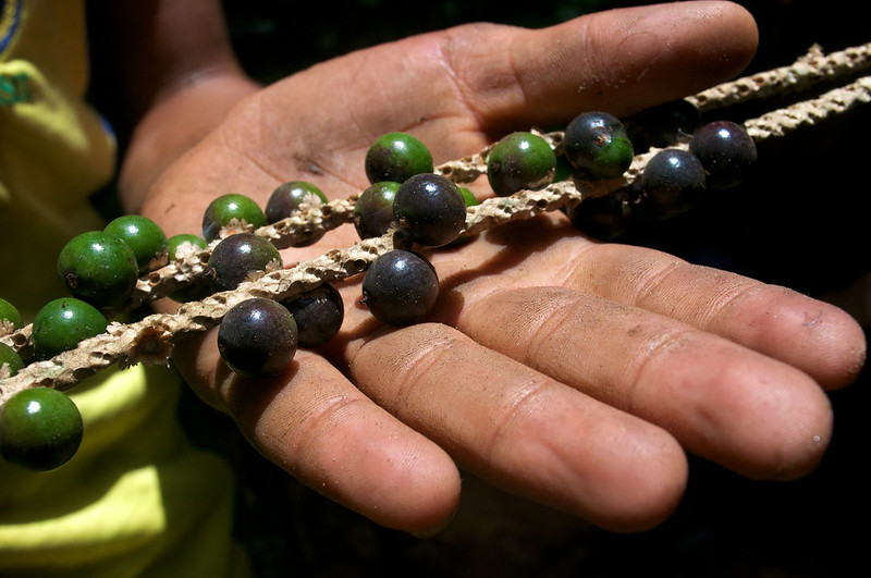 Bringing biodiversity’s benefits home