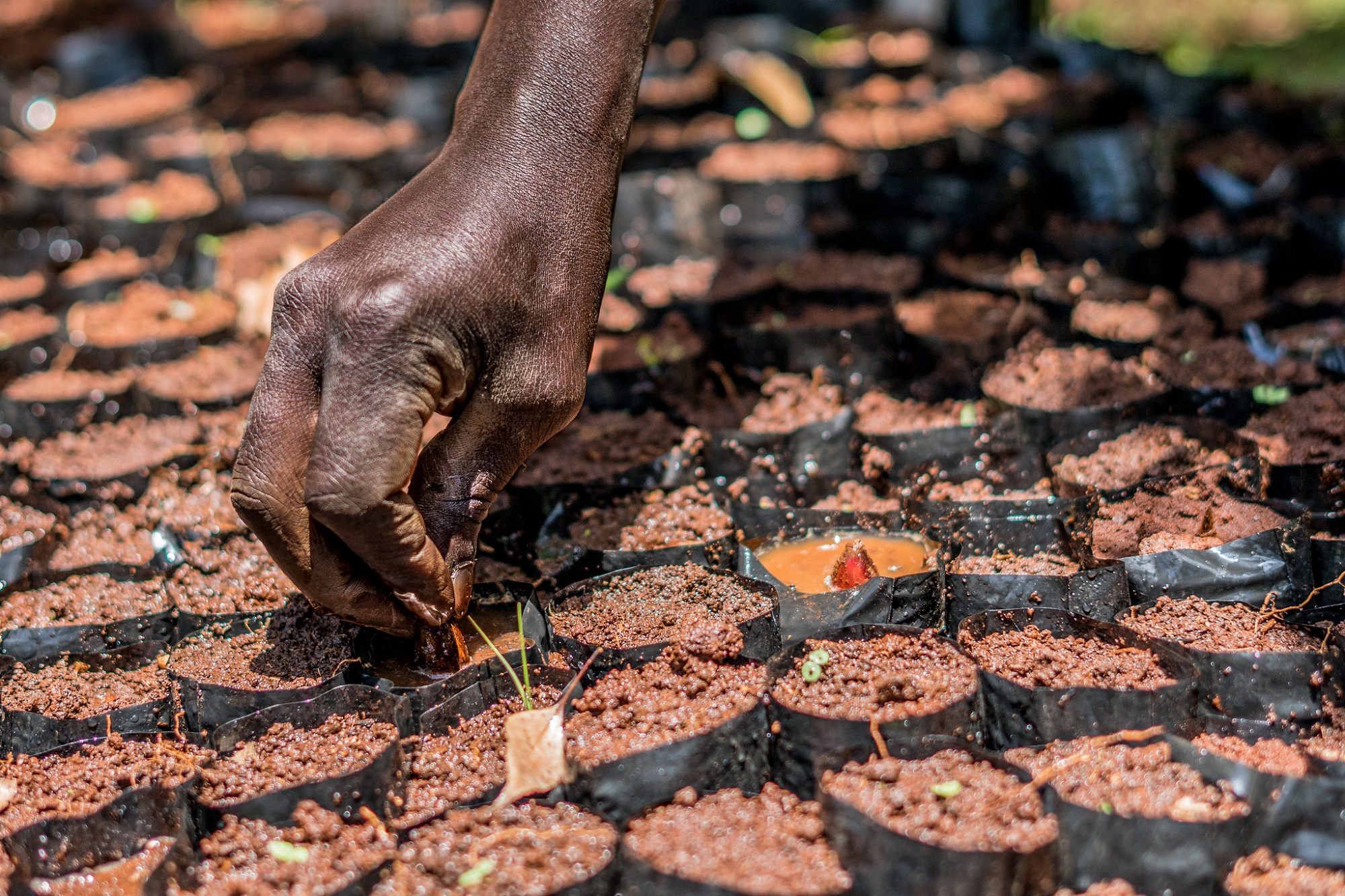 COP 27: ¿Quién pagará la factura de las pérdidas y daños de la crisis climática?