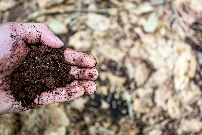 COP 27: Un llamado urgente a abordar la salud del suelo