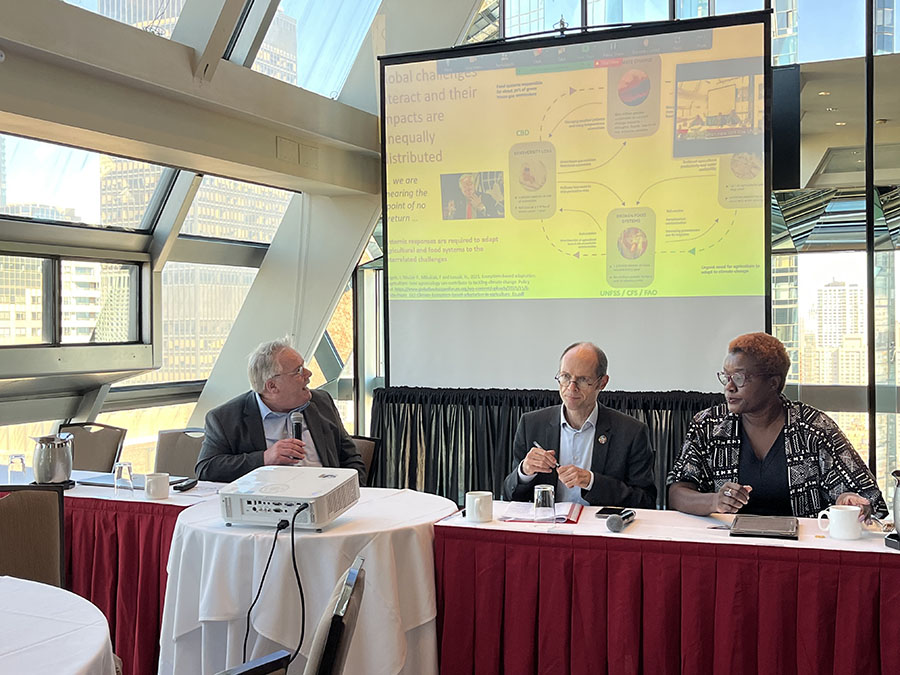 Realizing the right to food