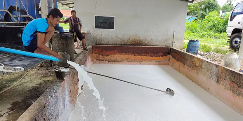 Meningkatkan Solusi Berbasis Hutan untuk Mengatasi Krisis Bumi