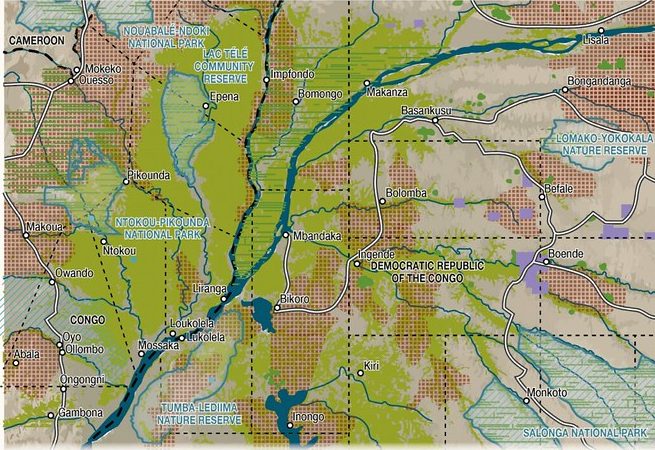 Lahan Gambut Bersama Bawa RoC dan DRC Lebih Dekat dalam Aksi Iklim