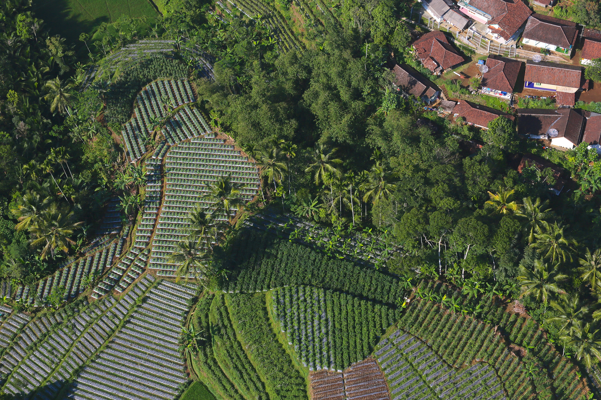 Teknologi Penginderaan Jauh untuk Sektor Kehutanan dan Tata Guna Lahan
