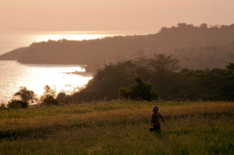 Sustainable forest management: Indonesia navigates a paradigm shift