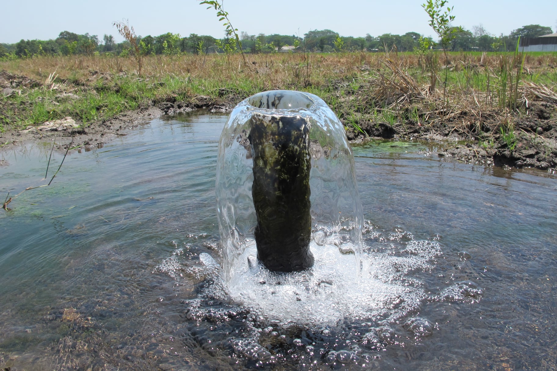 Pelestarian dan Pengelolaan Bersama Daerah Aliran Sungai Rejoso