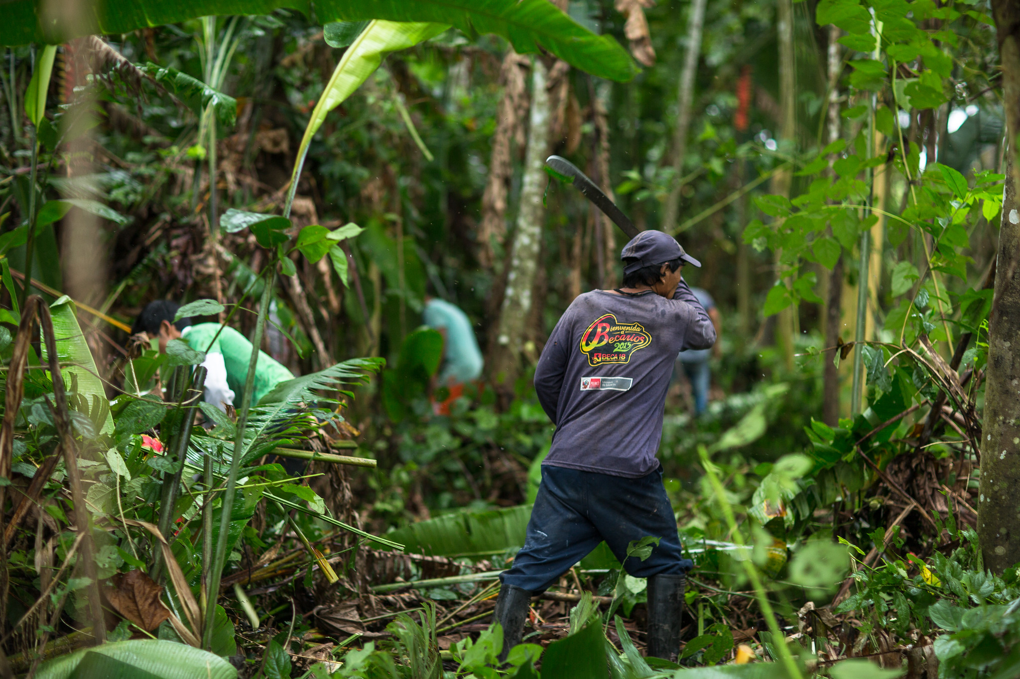 Una metodología para un manejo forestal comunitario más eficaz en Perú