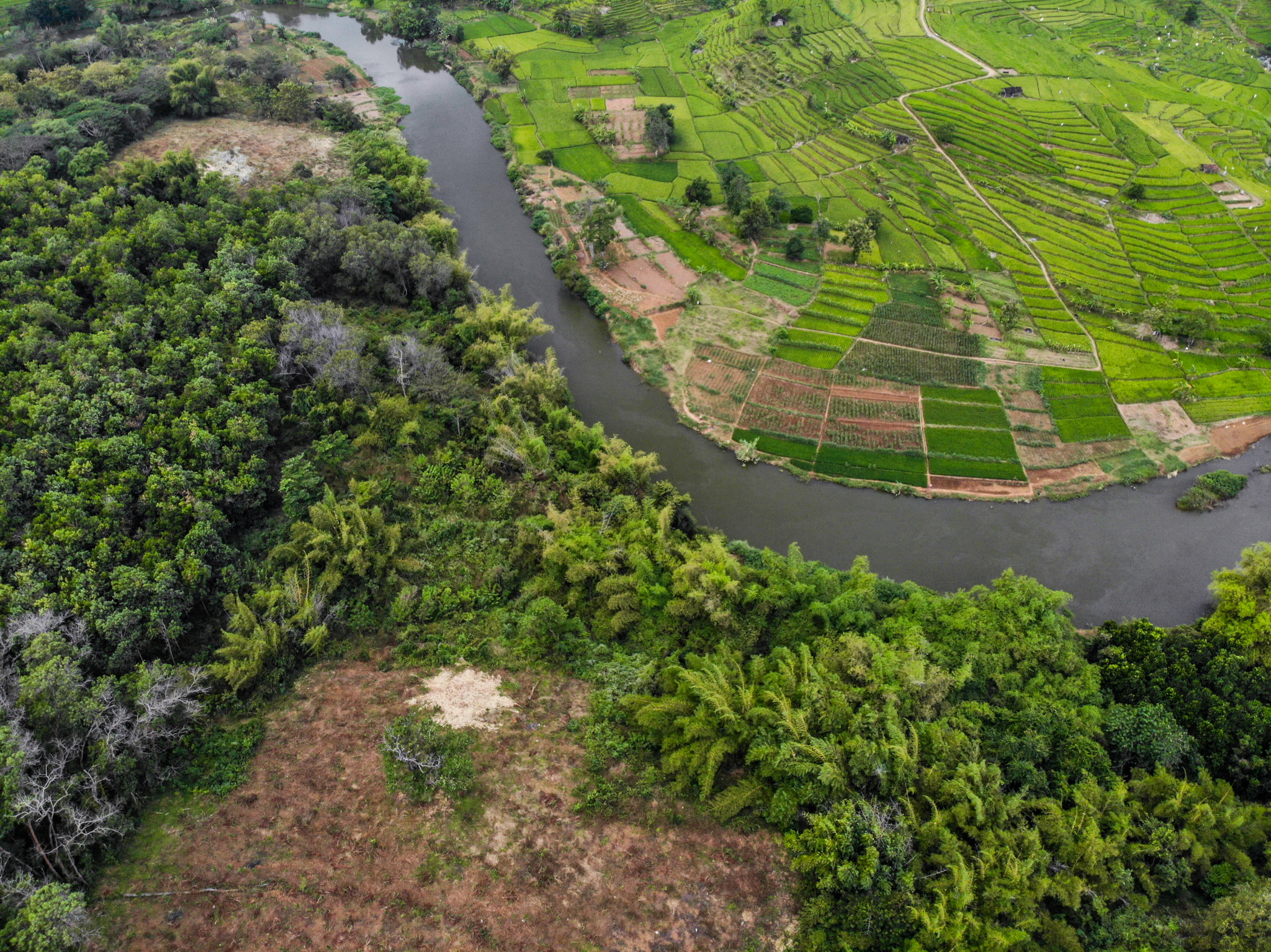 Webinar: Menambah Informasi Pengembangan Arsitektur REDD+