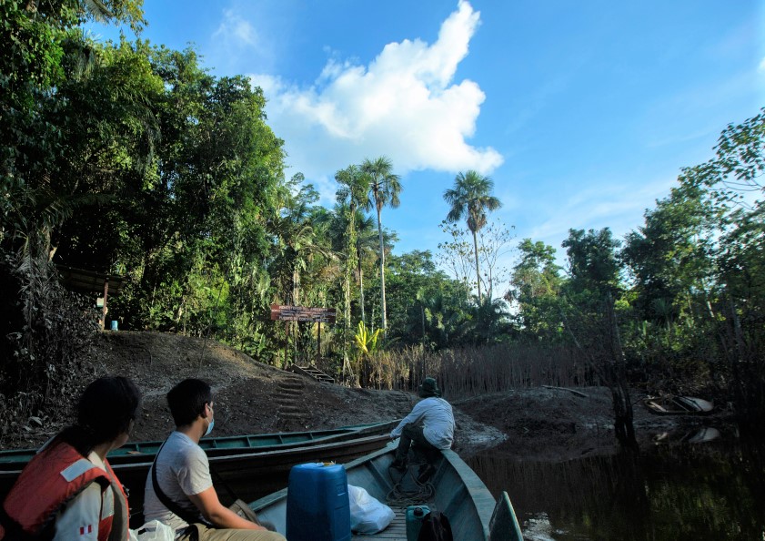 Un análisis del impacto de las iniciativas de conservación de bosques en Perú