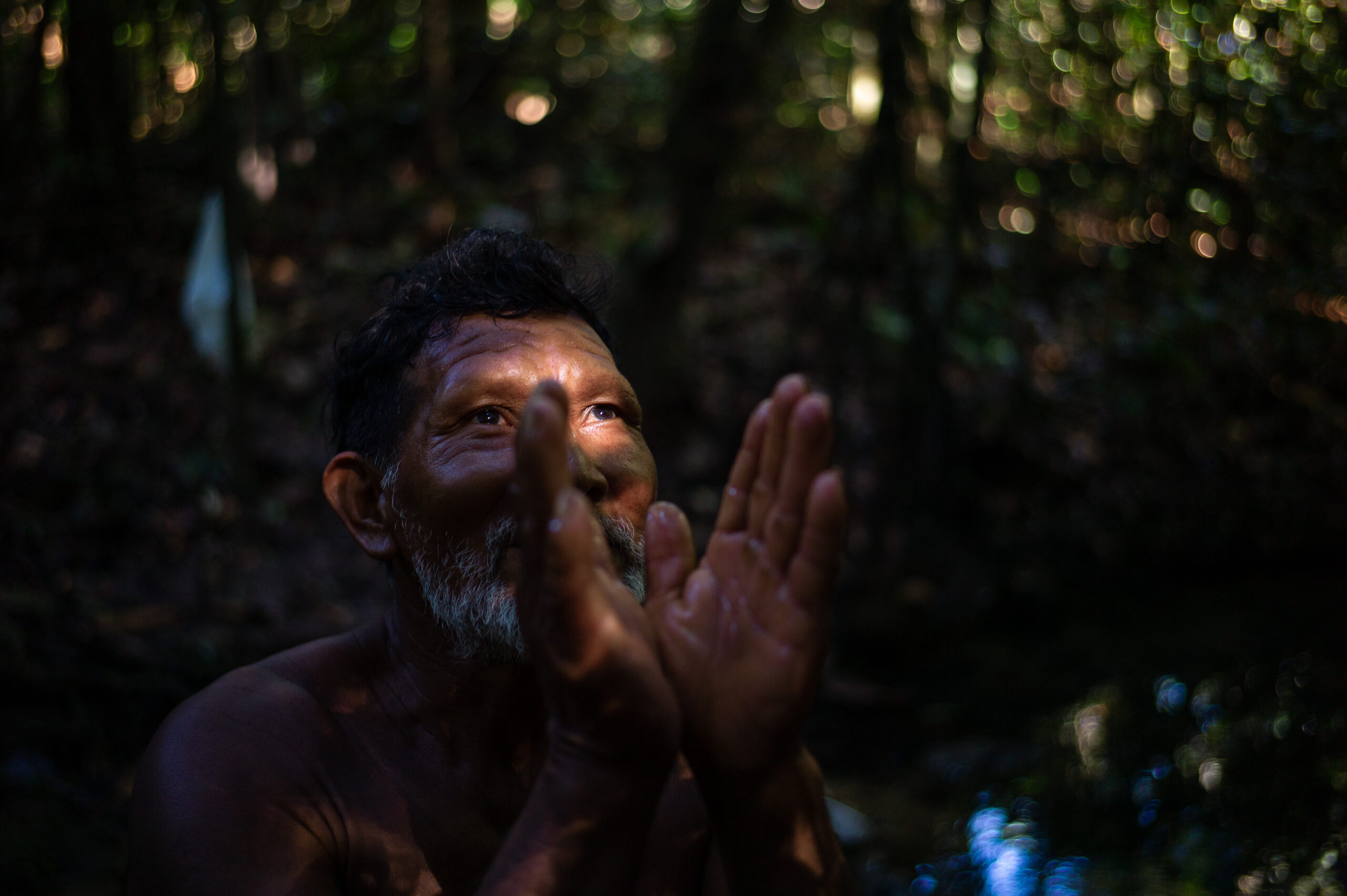 Toucans, tapir and tortoises: Revealing the biological riches of southern Guyana