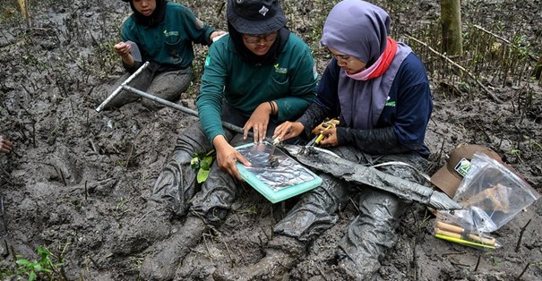 La science au service des niveaux d’émissions de référence pour les forêts