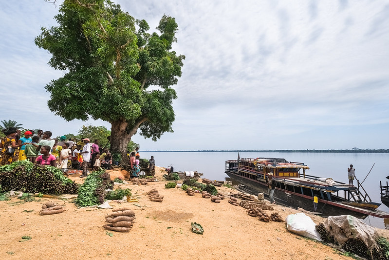 Avec une coordination intersectorielle performante, les forêts d’Afrique centrale contribueraient davantage aux ODD