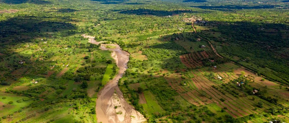 Retas Kesenjangan: Pengetahuan yang Diperlukan demi Suksesnya Dekade Restorasi Ekosistem PBB