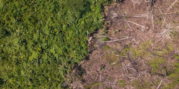 Pourquoi le contexte est important en matière de déforestation?