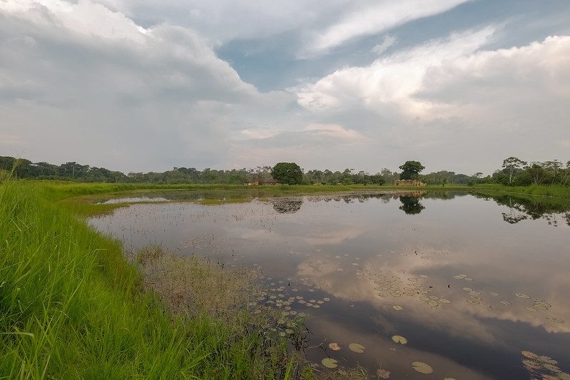 Fielding peatland data in remote Central Congo