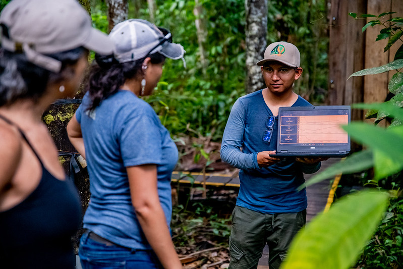 Why the time for trees, forests and agroforestry is now