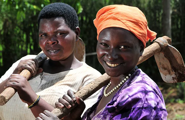 Dari Pengelolaan Hutan Berkelanjutan menuju Pemulihan
