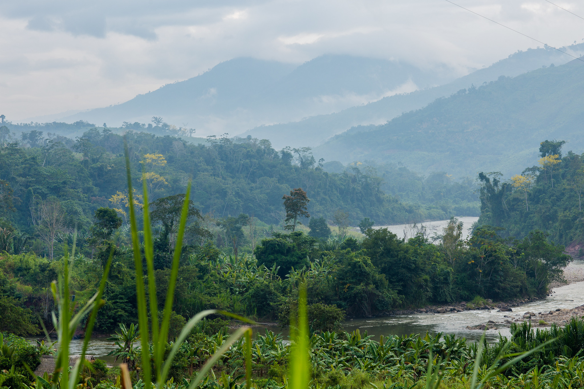 Abordar los cuestionamientos sobre los créditos de carbono forestal es clave para el éxito de la mitigación