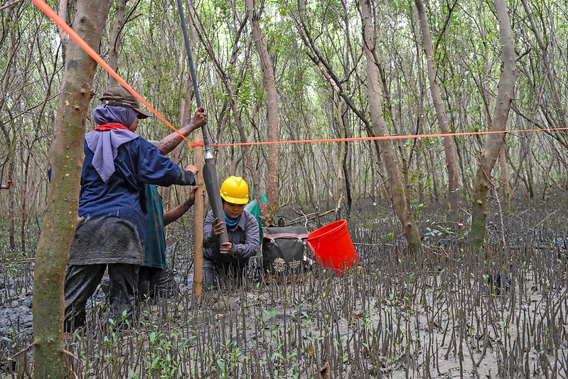 Pentingnya dukungan komunitas untuk kesuksesan karbon biru