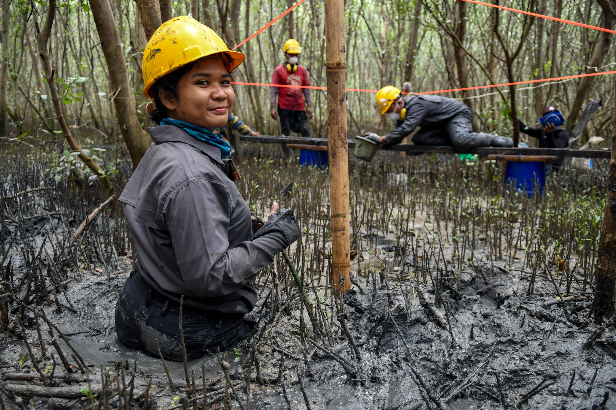 El apoyo de la comunidad es esencial para el éxito de los proyectos de carbono azul