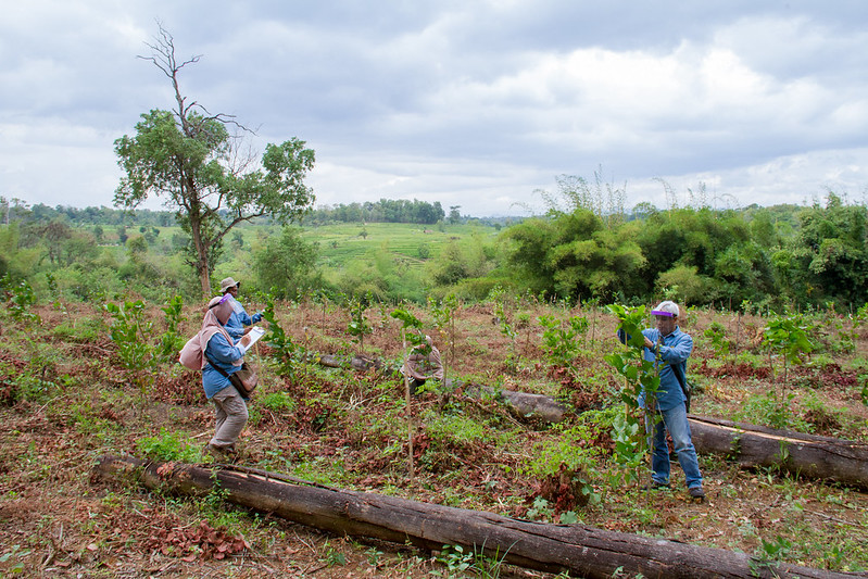 Restorasi hutan di bentang alam: Bukan sekedar menanam pohon