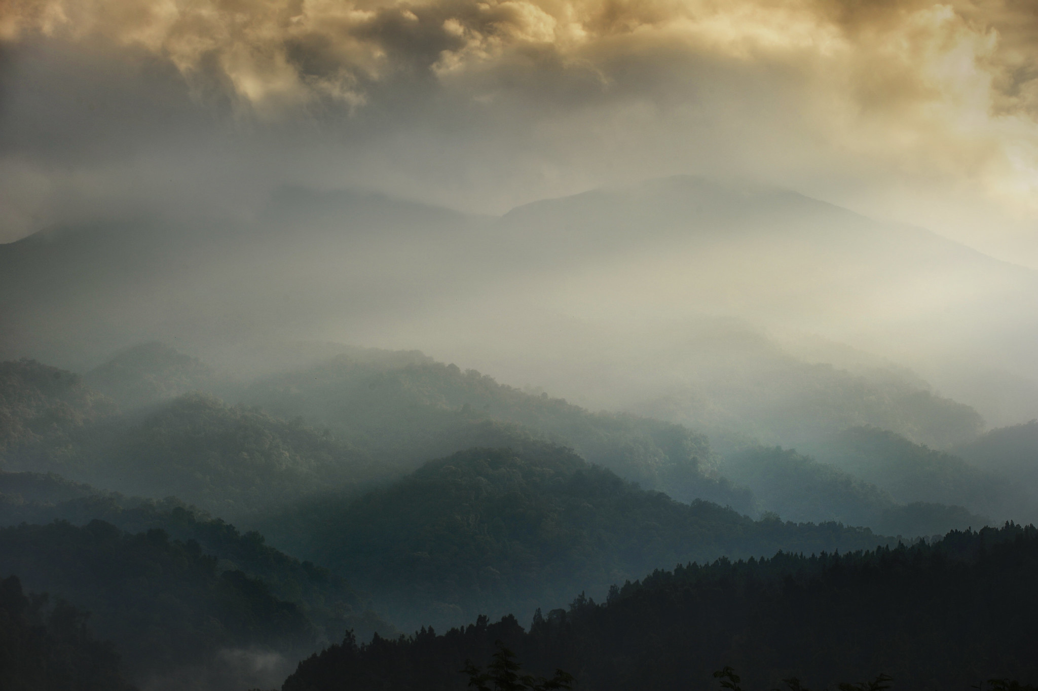 Metode Akuntansi Terbaru Bangun Kembali Kepercayaan pada Pasar Karbon Hutan