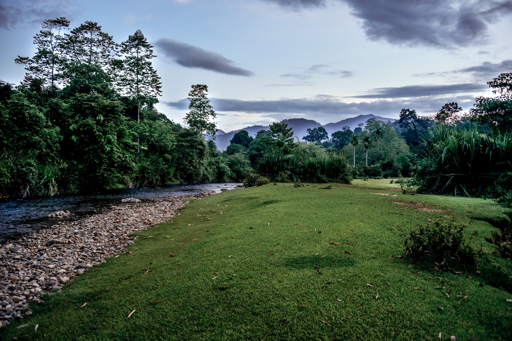 Dari ‘Tidak Membahayakan’ menjadi ‘Membuat Lebih Baik’: Pembelajaran Awal dari Implementasi Perlindungan REDD+ di Indonesia