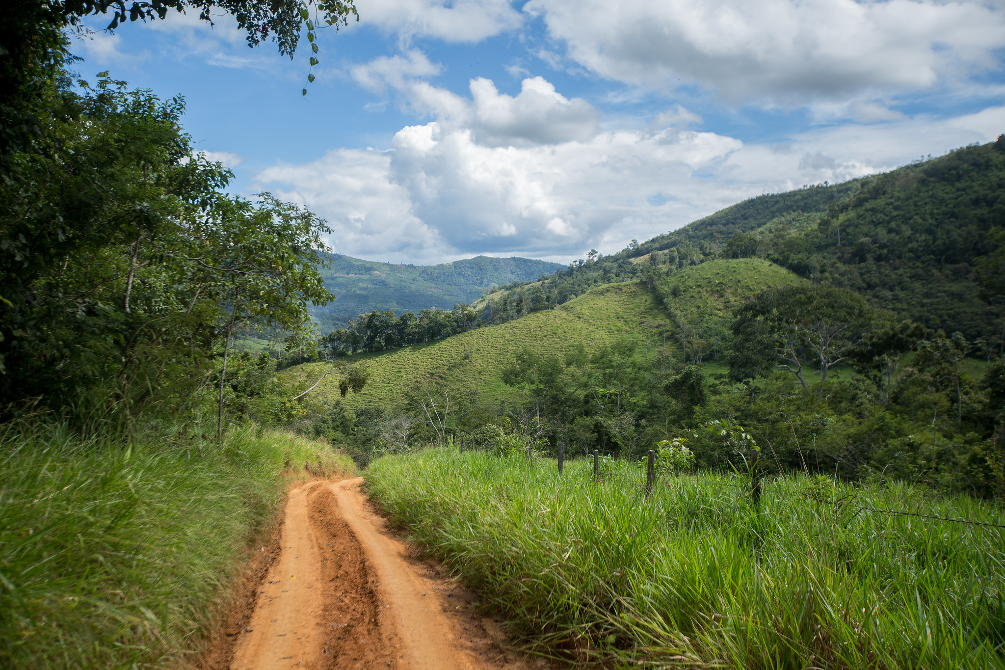 Analizando la influencia de la infraestructura de transporte en la dinámica de deforestación