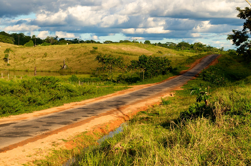 Brazil mulls deforestation patterns as Lula government launches new action plan