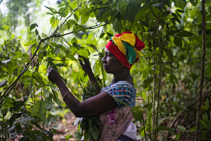 New strategies needed to uproot deep barriers to land, resource rights for women