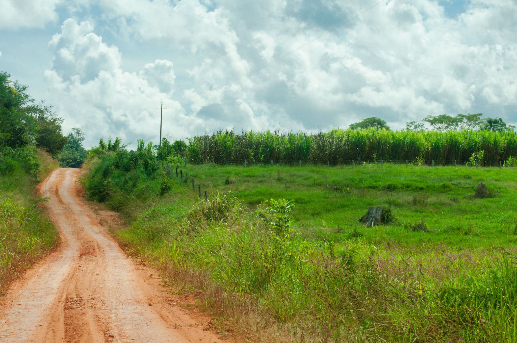 Brasil: La colaboración ciencia-políticas es clave para el nuevo plan frente a la deforestación