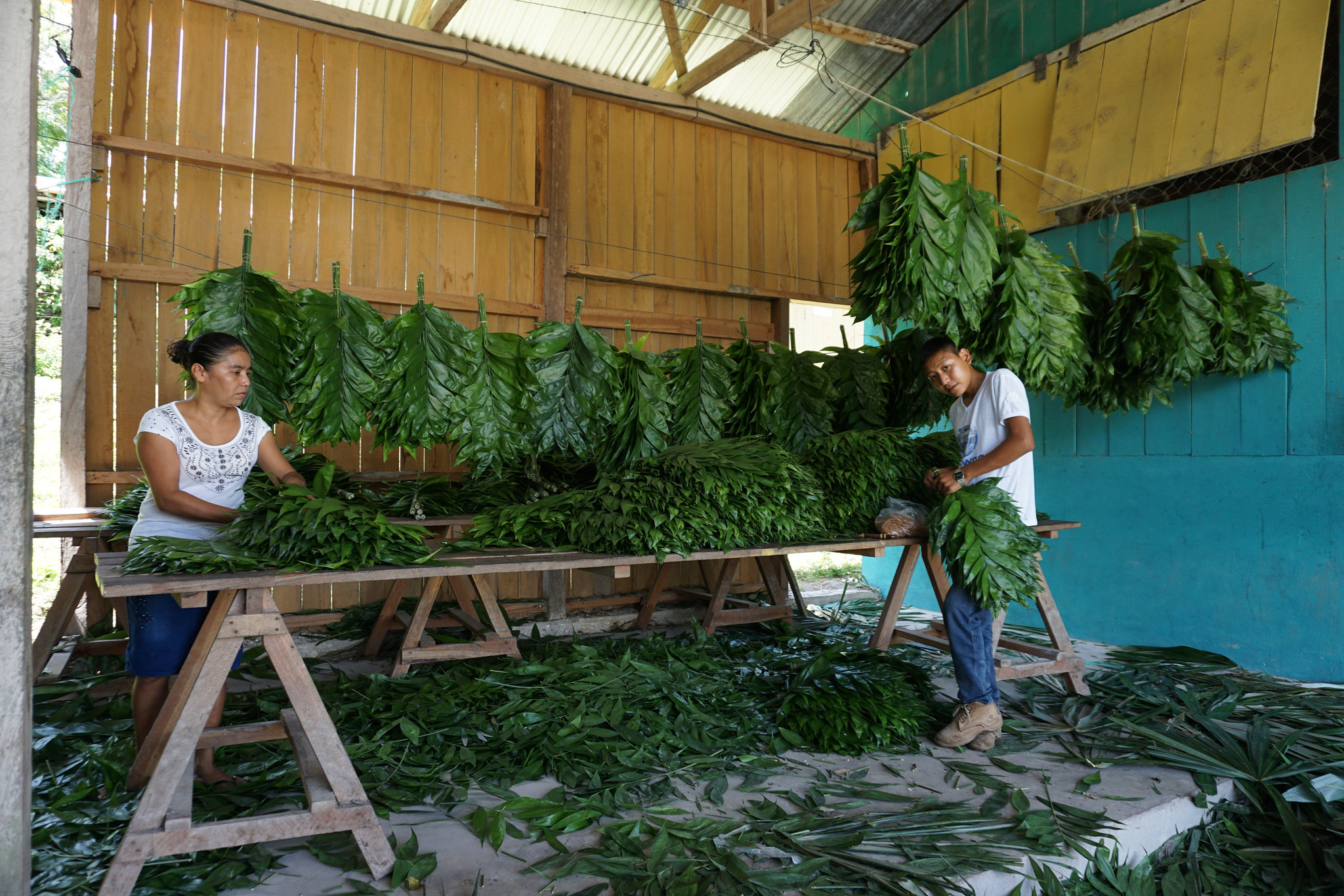 ¿Cómo promover el financiamiento para la naturaleza y las comunidades en América Latina y el Caribe?