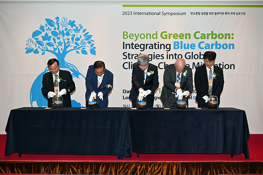 South Korea turns to blue carbon to help mitigate climate crisis