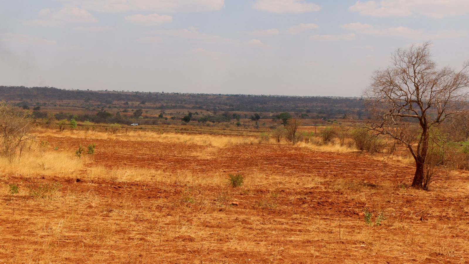 Integrated landscape approach may help end conflict with herders in Ghana, study says