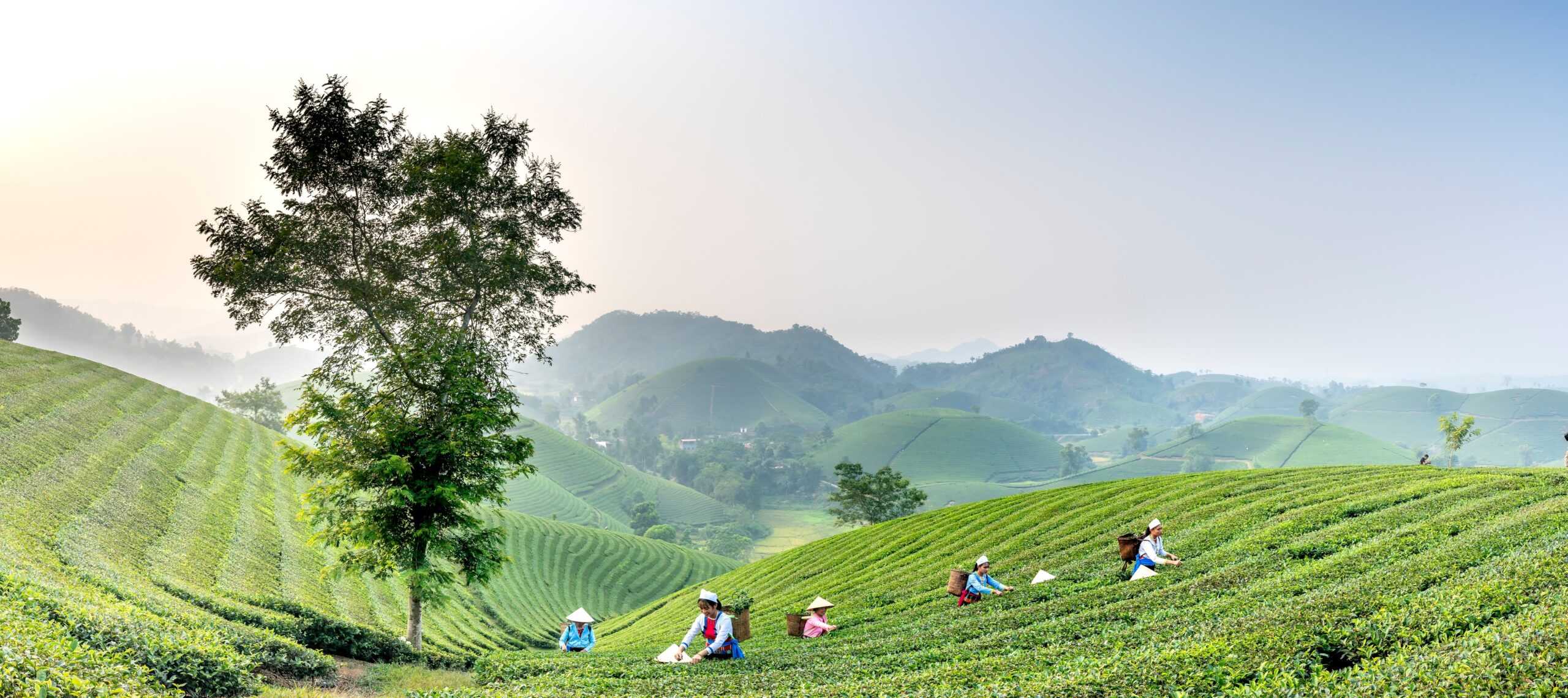 Una plataforma de ciencia ciudadana para contribuir a las transiciones agroecológicas