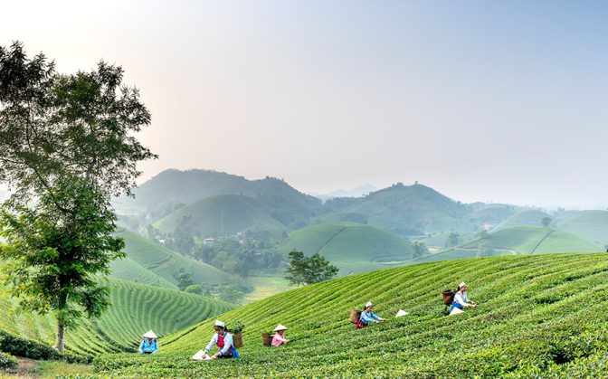 Platform Sains Masyarakat Terbaru Memperbolehkan Penetapan Transisi Agroekologi